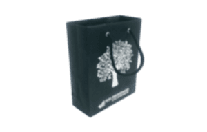 Подарочный бумажный пакет с нанесением изображения и логотипа методом шелкографии