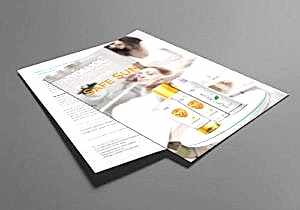 разработка и печать листовок в новосибирске